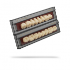 Dents SR Orthotyp A-D